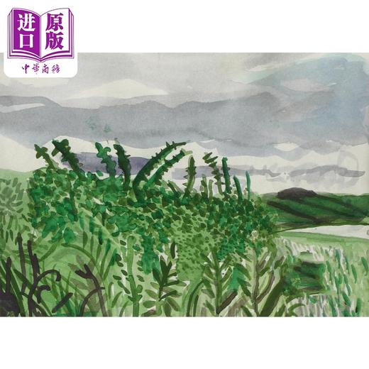 【中商原版】大卫·霍克尼水彩画册David Hockney：约克郡水彩速写 进口艺术 A Yorkshire Sketchbook 水彩艺术 商品图3