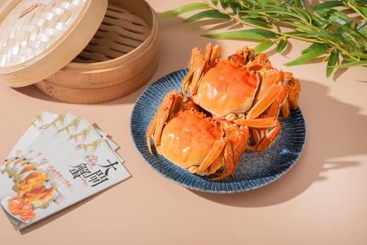 <有书独家>阳澄湖大闸蟹纯湖蟹 商品图0