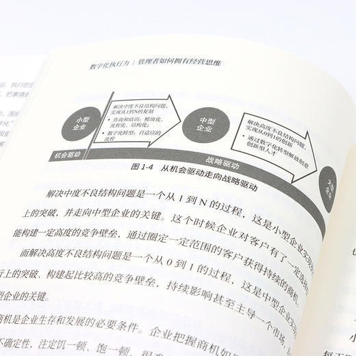 数字化执行力 管理者如何拥有经营思维 唐文著 数字化转型战略领导思维 陈春花刘润曹虎王志国张鹏国雷文涛倾情推荐 商品图4