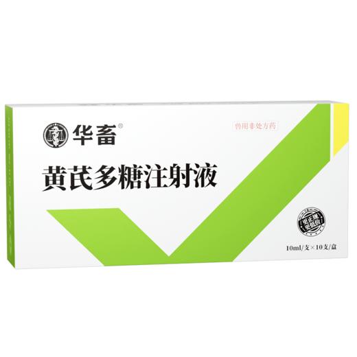 华畜 黄芪多糖注射液10支 抗病毒 防流感 增免疫 头孢稀释液  商品图5