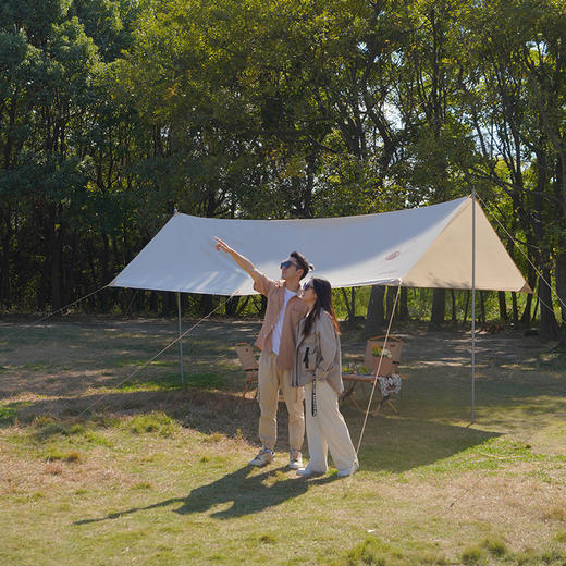 大迈星际漫步天幕 DM-1011M /1012L 麦浪棕 商品图7