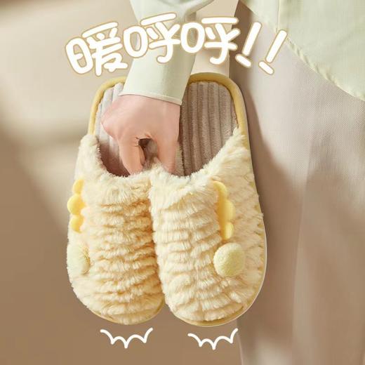 「五色可选！厚实毛绒」毛毛虫小翅膀居家地板拖情侣拖鞋 男女防滑耐磨月子鞋毛拖鞋 商品图0
