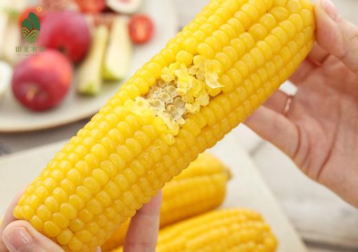 田里有草【甜糯玉米】高端绿色！爆浆爽口 鲜嫩丝滑 集色香甜糯于一身 饱腹感超强 一穗抗半天！ 商品图1