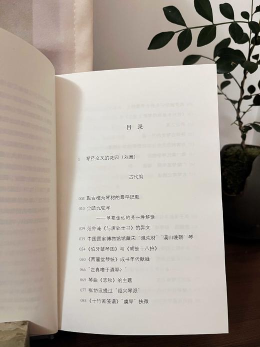 琴门徘徊录 商品图2