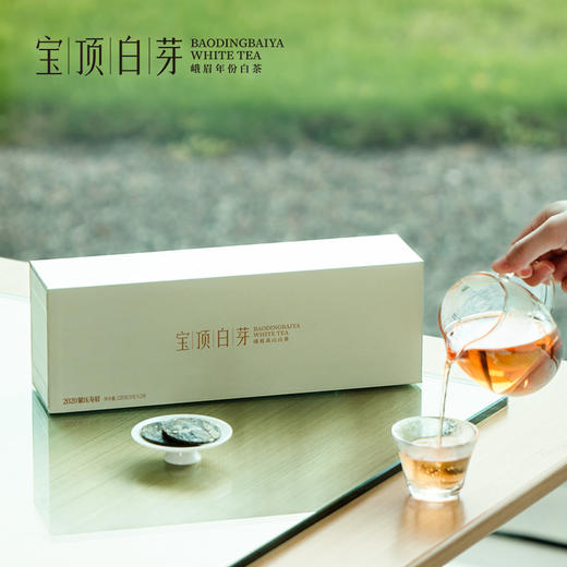 宝顶白芽峨眉高山白茶2020年紧压寿眉经典礼盒120g 商品图0