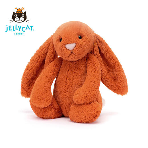Jellycat 害羞系列 邦尼兔 柑橘色 31cm 商品图4