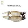 新鲜莲藕 （新藕）2斤左右 商品缩略图0