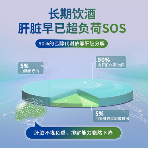 ⁵近效清仓26.5.8美国进口【奶蓟草胶囊】 解酒熬夜皮黄 奶蓟草+水溶性姜黄+朝鲜蓟+谷胱氨肽 60粒/瓶【Mkule 】YY-5-QTT-SA 商品图2