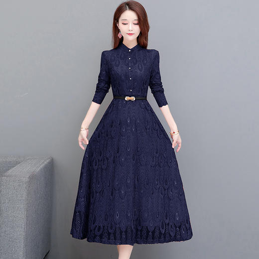 QYM 231381-Y时尚气质孔雀羽毛花长款连衣裙 商品图0