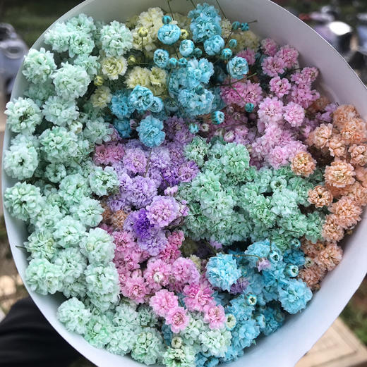 千万星--吸色·七彩 商品图1