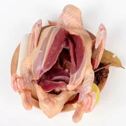 旺鲜汪临泉县单桥镇张老村生态放养乳鸽现杀冰鲜乳鸽2只装 商品图0