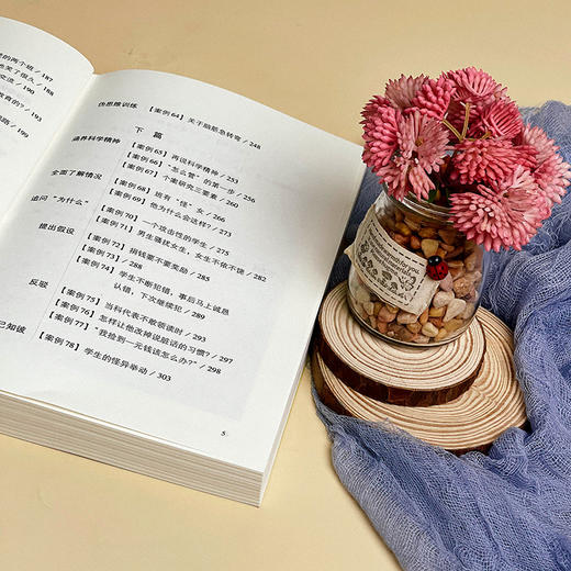 做一个聪明的教师 教师思维方式案例点评 王晓春 大夏书系 商品图10