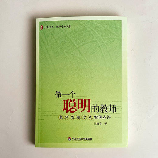 做一个聪明的教师 教师思维方式案例点评 王晓春 大夏书系 商品图2
