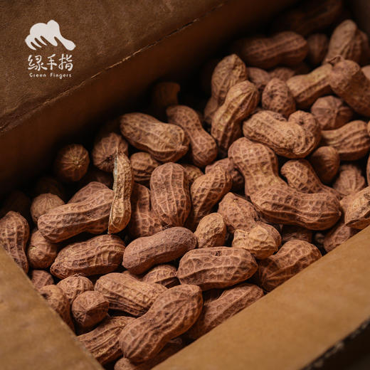 生态半干花生（带壳） | 合作生产* Ecological  Peanuts | Coproduction 商品图3