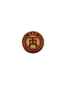 天玉煌 胸针2个