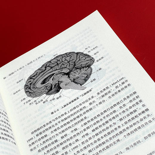 跟情绪做朋友 教师情绪管理与成长 教师修养 大夏书系 中小学教师情绪自我控制 商品图7