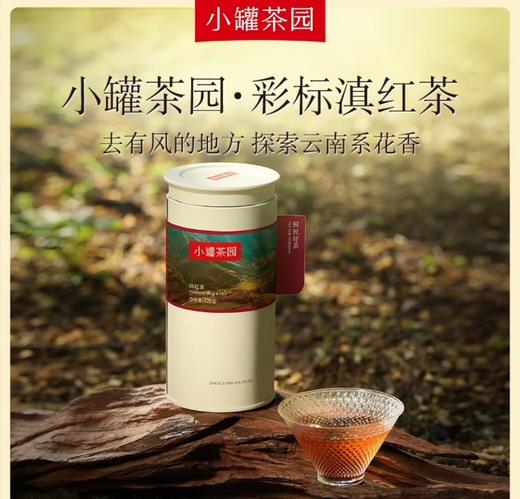 小罐茶茶园系列茶叶彩标滇红茶 商品图1