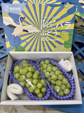 相印青提	5斤装