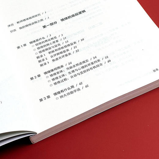 跟情绪做朋友 教师情绪管理与成长 教师修养 大夏书系 中小学教师情绪自我控制 商品图6