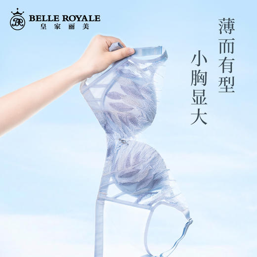 皇家丽美WW118-3内衣小胸显大聚拢文胸收副乳中厚款无钢圈文胸 商品图2