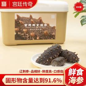 宫廷传奇 鲜食海参宫廷999型 周享