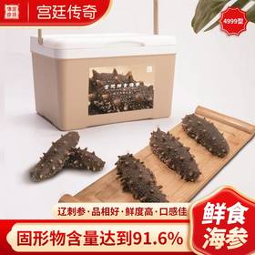 宫廷传奇 鲜食海参宫廷4999型 两月享