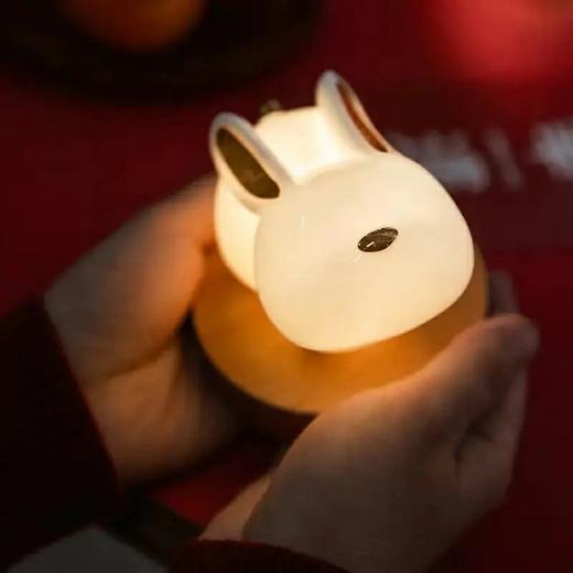 《中秋夜灯组合》 商品图3