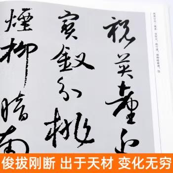 中国历代书法名家作品集字 孙过庭宋词【现货包邮】RM0115 商品图2