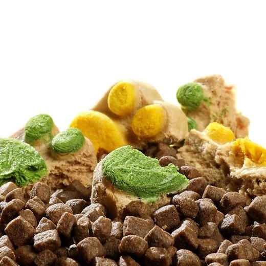 yee猫爪饼冻干生骨肉饼猫零食猫草磨牙狗狗零食随机口味/个 商品图4