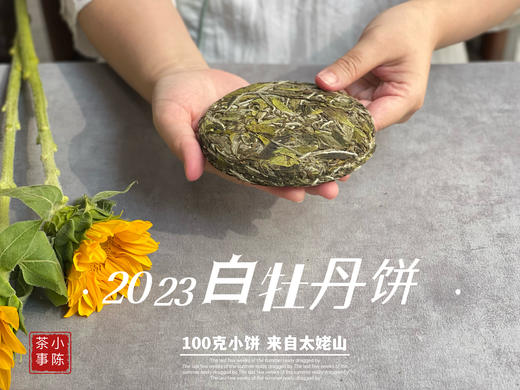2023白牡丹《小冰肌》，柔！润！滑！细！花香潋滟，汤水柔中带润，润中含香 商品图7