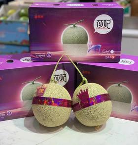 莎妃蜜瓜（一箱5个装）