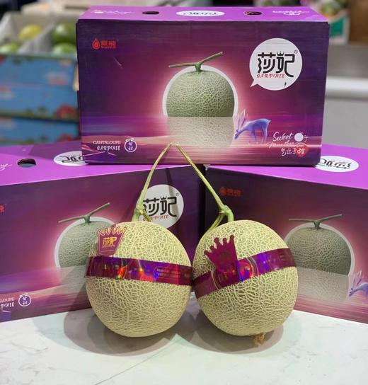 莎妃蜜瓜（一箱5个装） 商品图0
