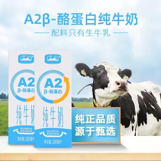 ³买4箱送1箱3.0克纯奶【相山A2β-酪蛋白纯牛奶 】乳糖不耐更好吸收 自家老牧场 β-酪蛋白纯牛奶200ml*12瓶 XN03-CRMM-BBT 商品图0
