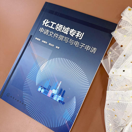 化工领域专利申请文件撰写与电子申请 商品图3