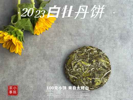 2023白牡丹《小冰肌》，柔！润！滑！细！花香潋滟，汤水柔中带润，润中含香 商品图4