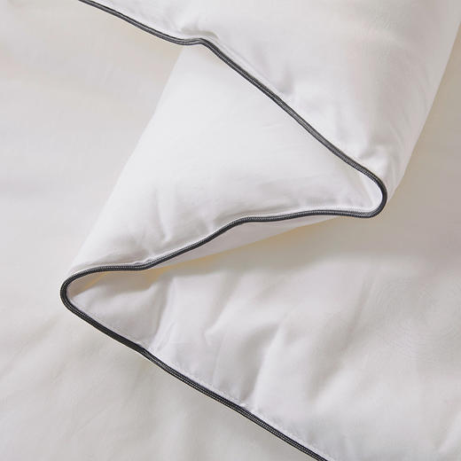 10楼堂皇暖眠新雪丽春秋被-1吊牌价1690-1990元活动价999-1099元 商品图2