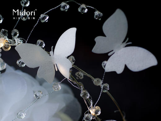 水晶魅影·低卡糖蛋糕  | Midori 商品图3