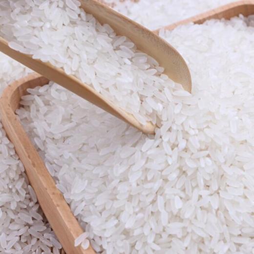 【 粮中帝 】五常大米原粮稻花香 2号 正宗 东北大米 5kg 商品图4