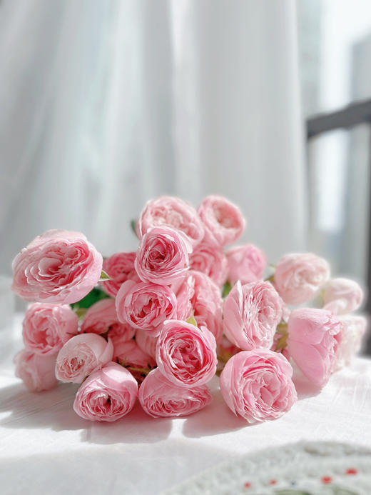 【新娘梅拉多头玫瑰.AB级】10支/份 买2份减20元 商品图5