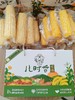 23年新玉米 鲜食糯玉米8根/盒 礼盒 商品缩略图2