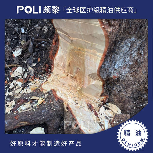 东印度檀香精油  进口檀香精油原料 美容院护肤按摩单方精油 商品图0