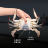 积分兑换丨至鲜小娘蟹（三角蟹）460g/4只*2份   小巧精致  只只带黄 商品缩略图1