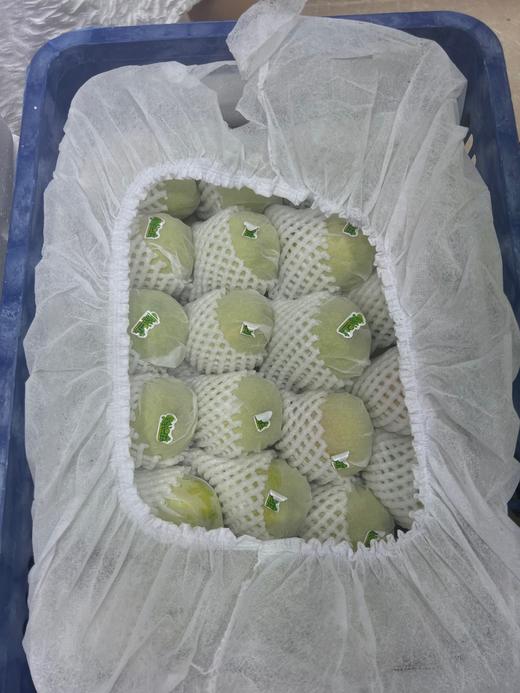 新疆库尔勒 香梨 脆甜多汁 9.9/斤 商品图1