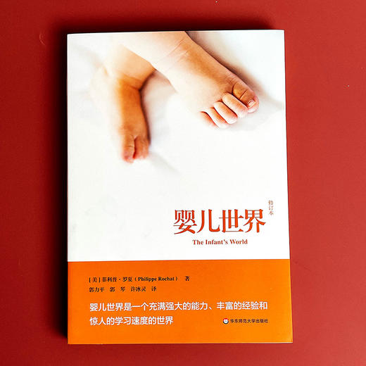 婴儿世界 修订本 婴儿期研究经典著作 婴儿期心理发展 商品图1