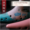 12孔专业教学款 江豚萌笛【AC】 商品缩略图7