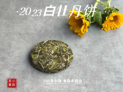 2023白牡丹《小冰肌》，柔！润！滑！细！花香潋滟，汤水柔中带润，润中含香 商品图3