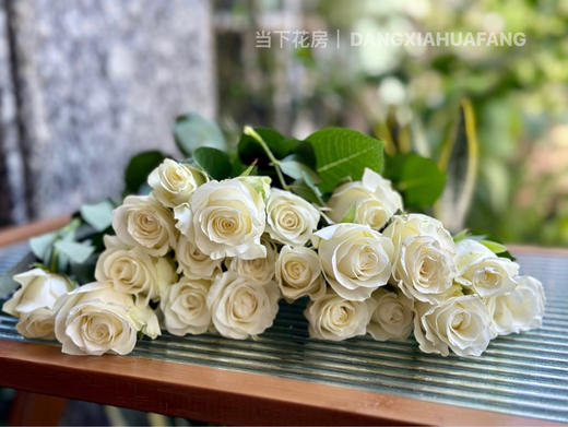 【AB级骄傲玫瑰.第二件减10元】10支/份 长约60-65cm 商品图4