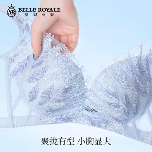 皇家丽美WW118-3内衣小胸显大聚拢文胸收副乳中厚款无钢圈文胸 商品图3
