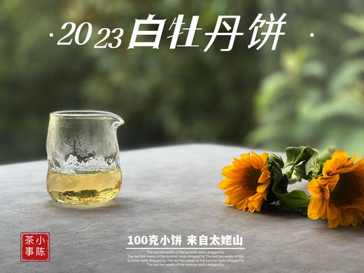 2023白牡丹《小冰肌》，柔！润！滑！细！花香潋滟，汤水柔中带润，润中含香 商品图12