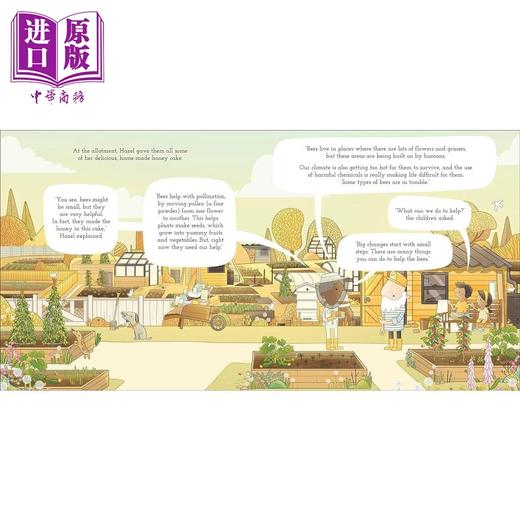 【中商原版】 DK绘本百科系列 动植物知识科普故事图画书8册 英文原版 Brendan Kearney Bird Fish Forest Arctic Bee 商品图7